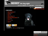 BERRY the dog sight